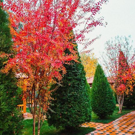 Kum Hotel Grace Garden מראה חיצוני תמונה